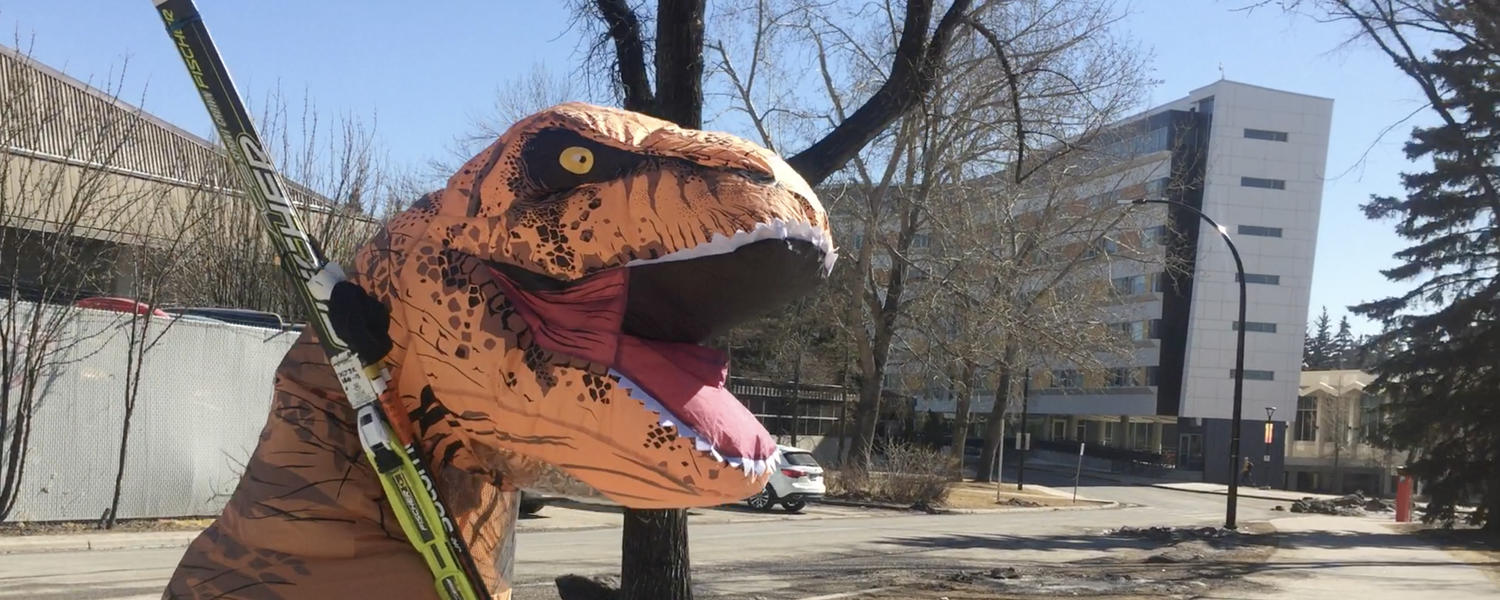 dinosaur renting skis