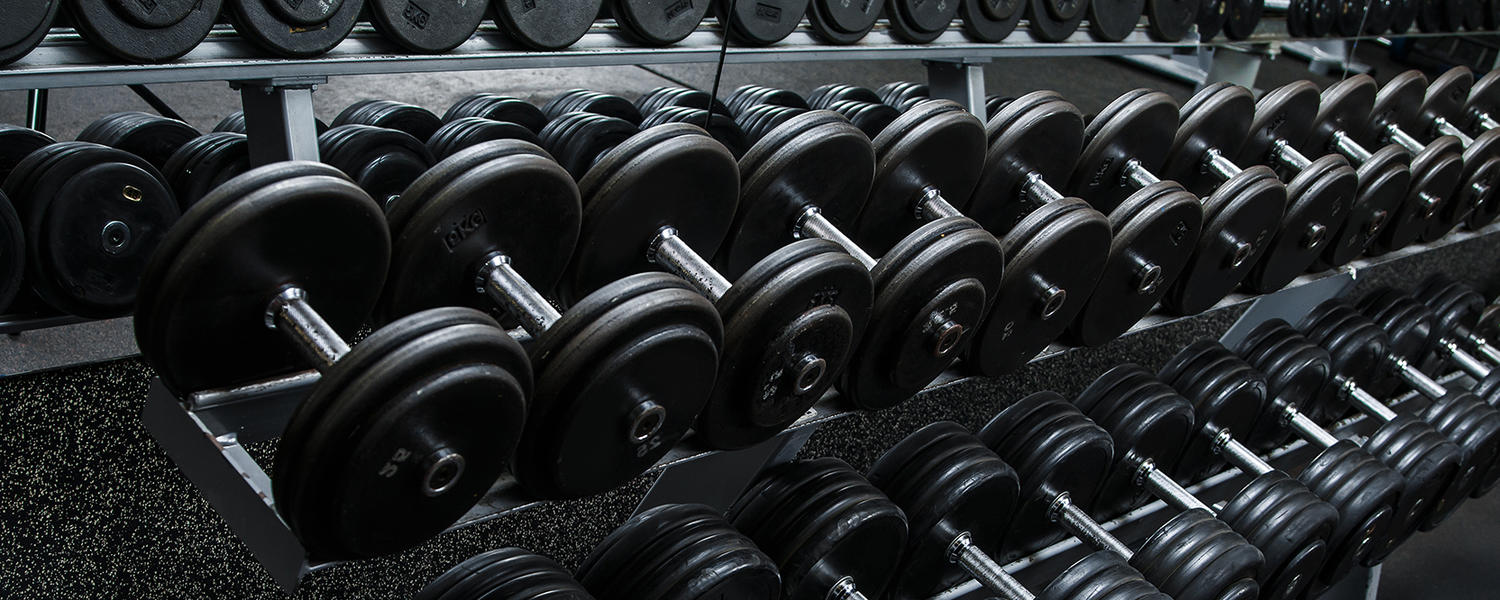 dumbbell rack