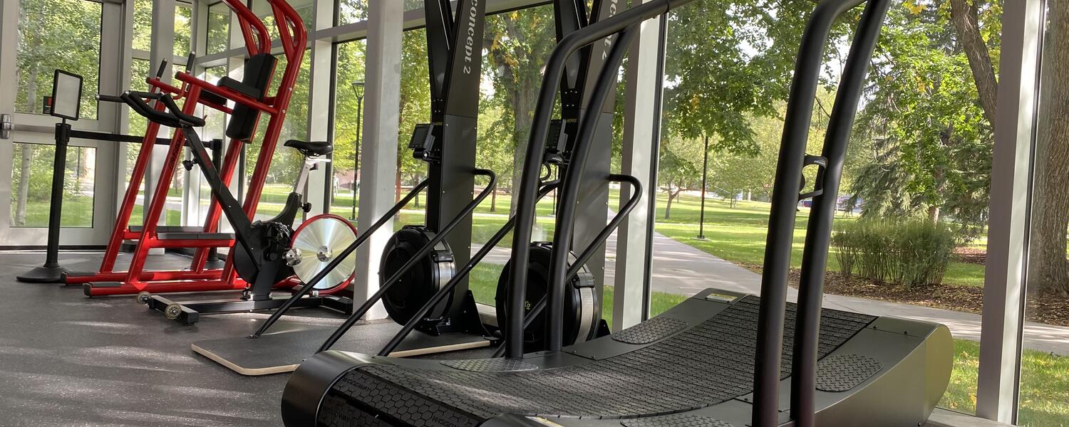 Gold Fitness Alcove