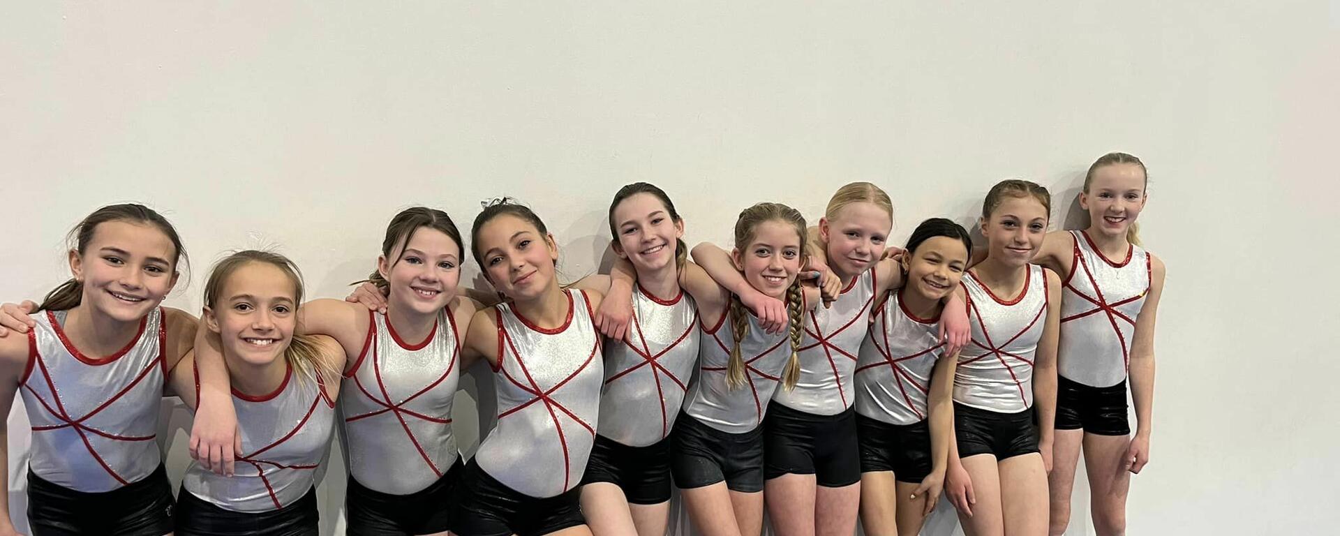 A group of gymnasts 