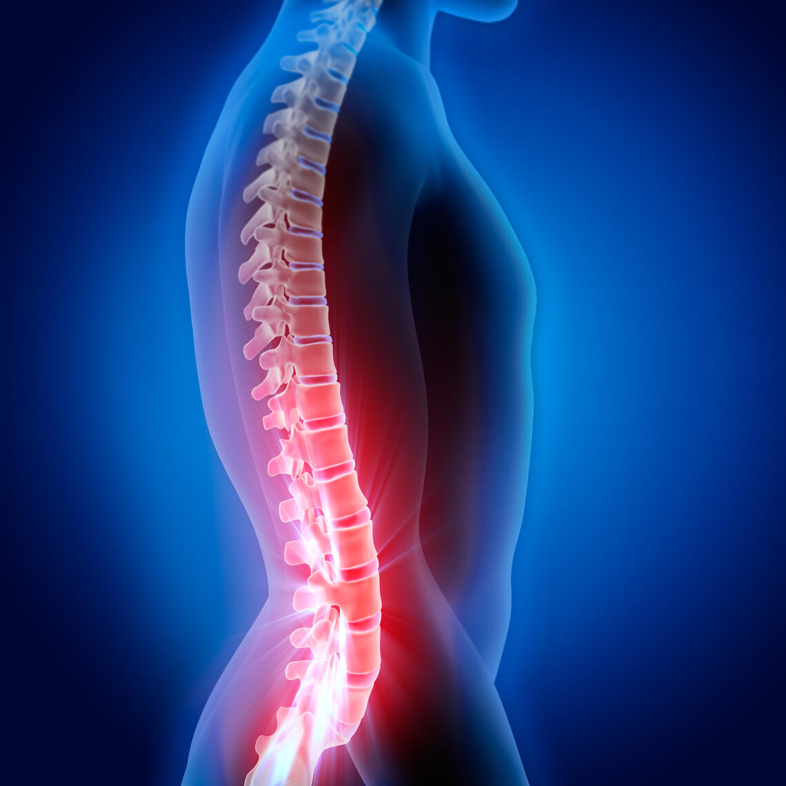 lower back pain highlight