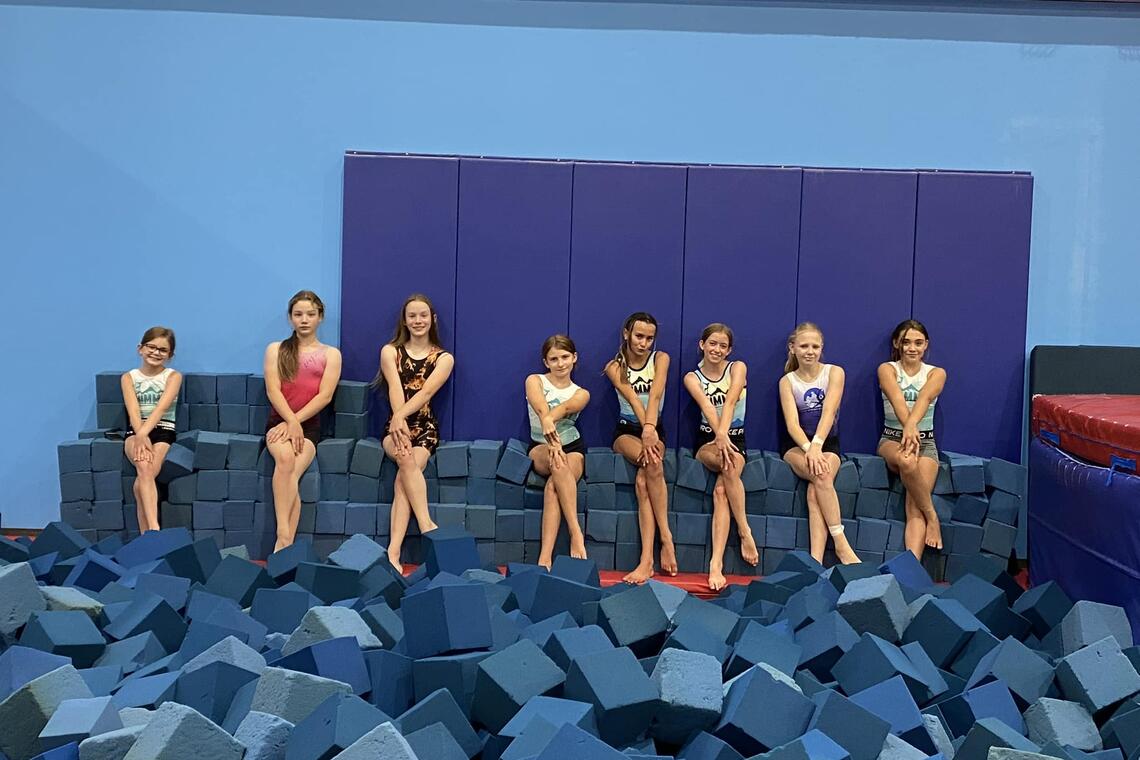 A group of gymnasts 