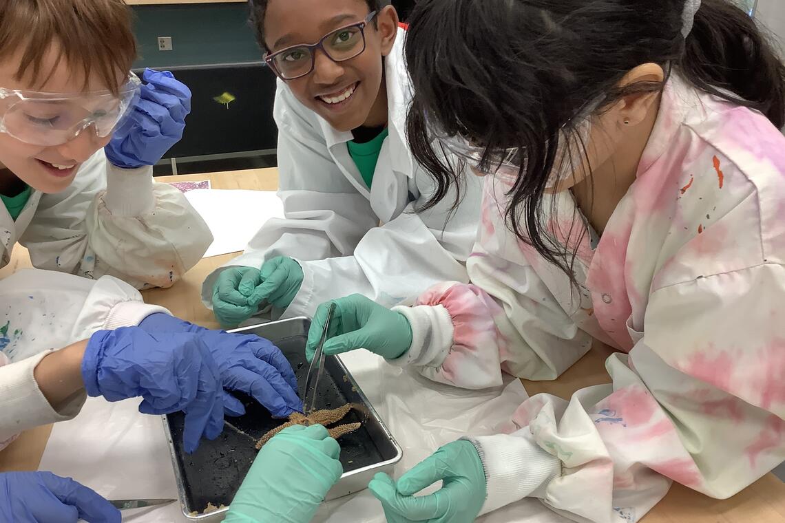 Minds in motion photos 