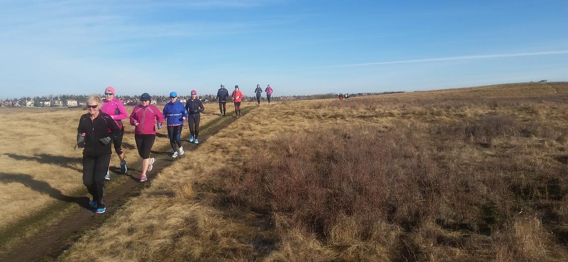 UCalgary Marathon club training as a group