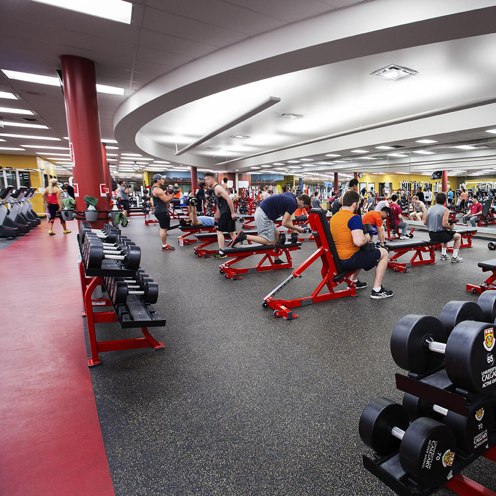 Fitness Centre weights area