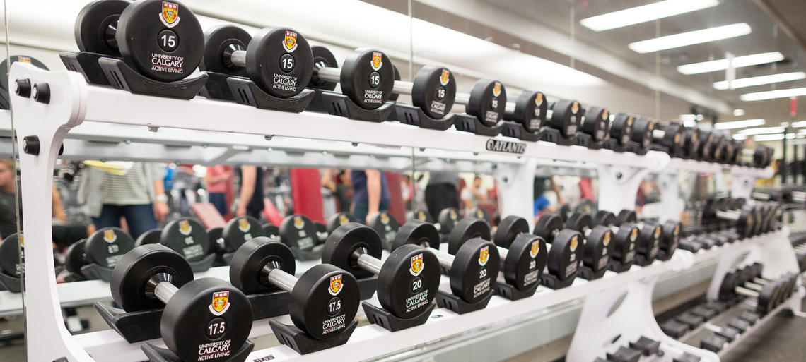 racks of dumbbells