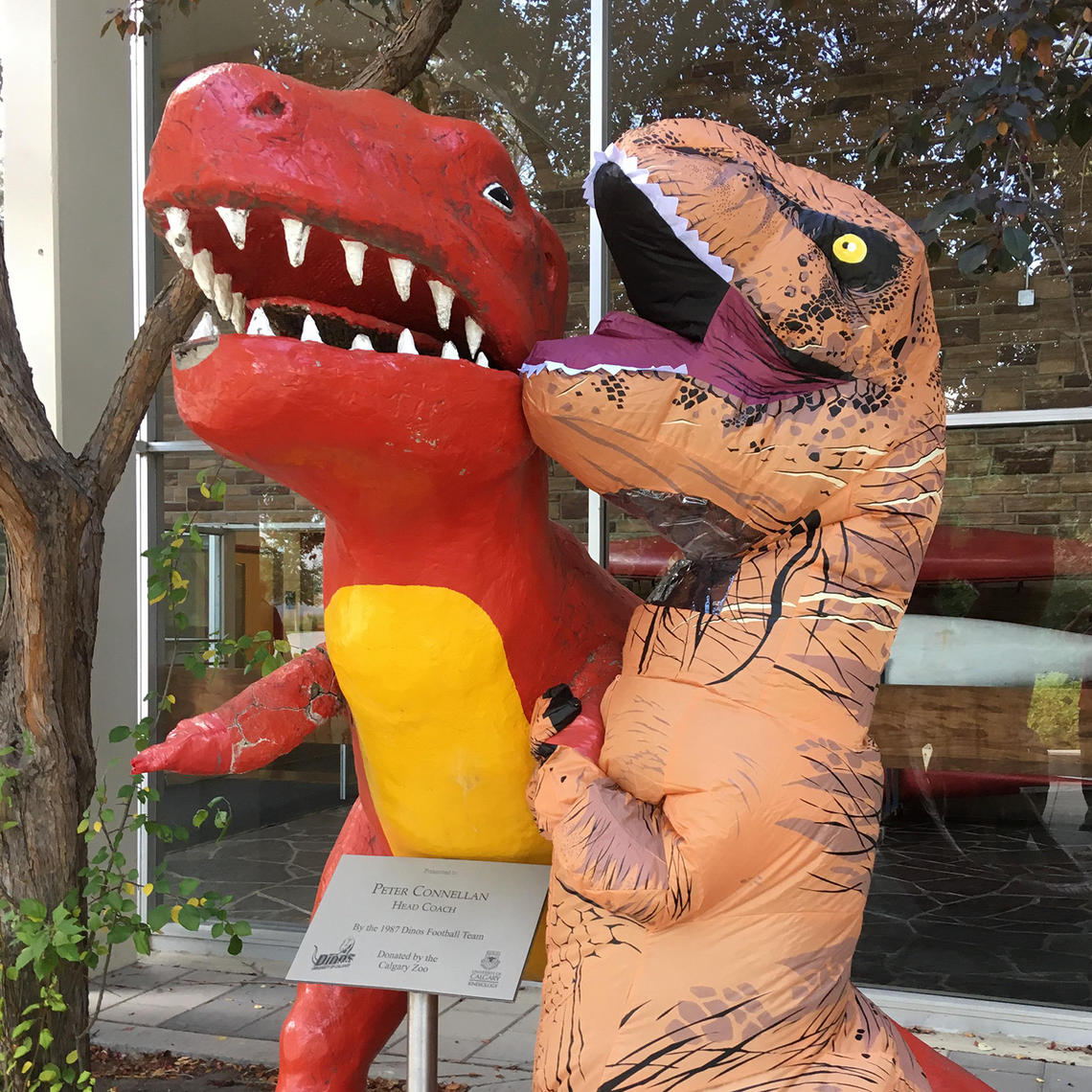 Inflatable dinosaur poses with Rex statue