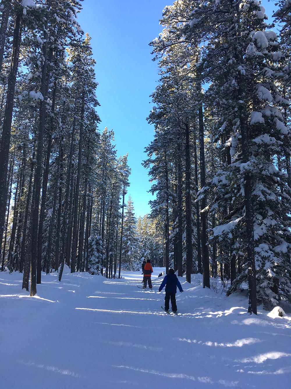 Beautiful view while crosscountry skiing with UCalgary Active Living