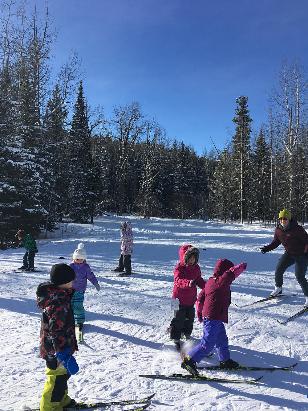 Kids in UCalgary crosscountry ski class