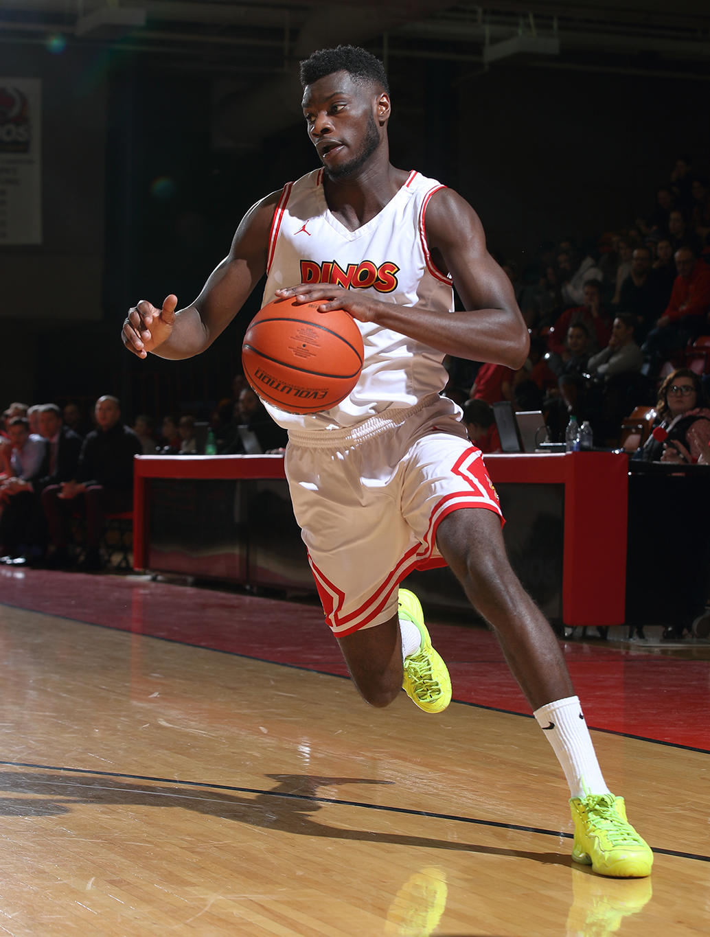 Dinos Basketball player