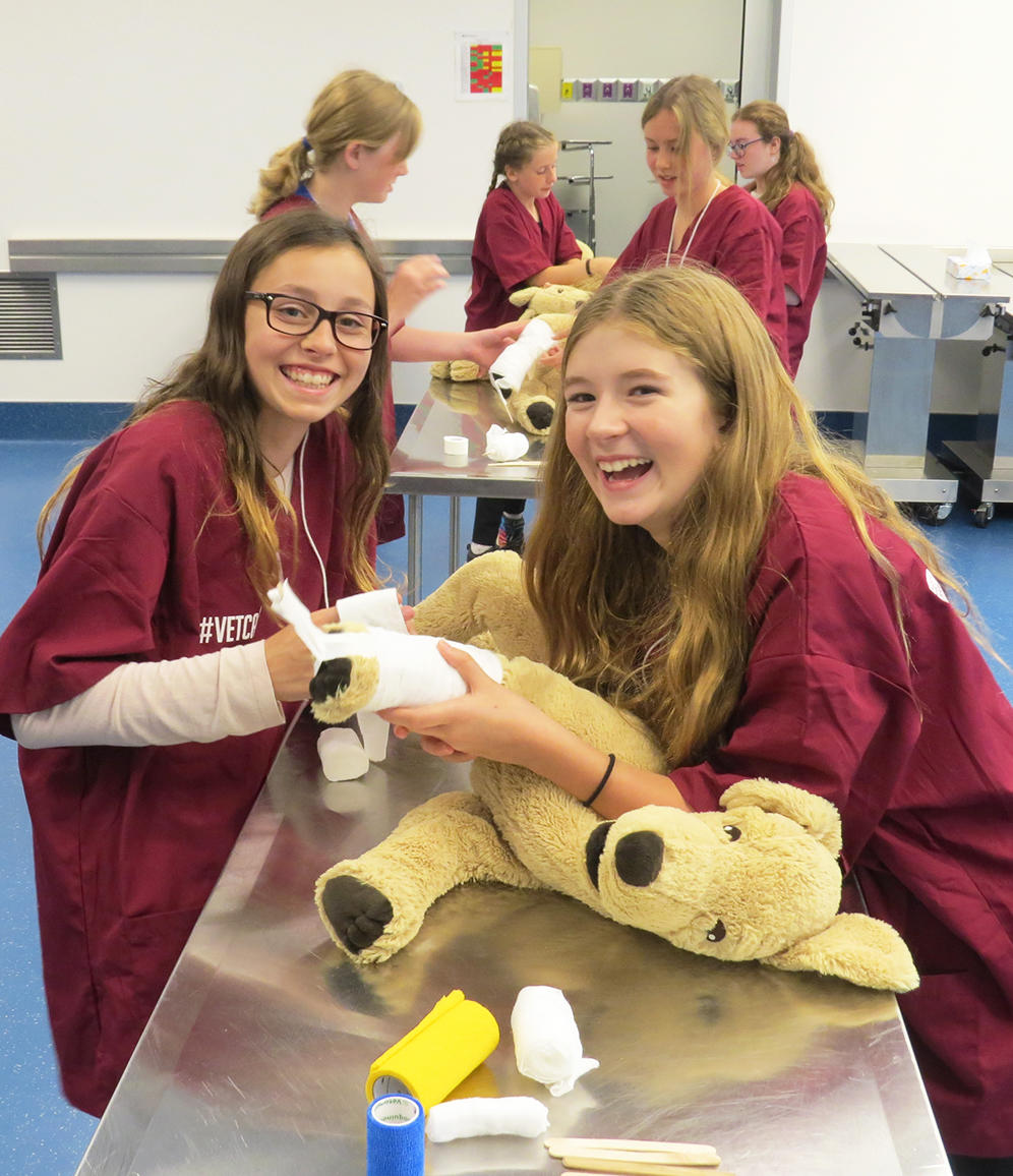 Vet Camp at University of Calgary Vet Camp at University of Calgary