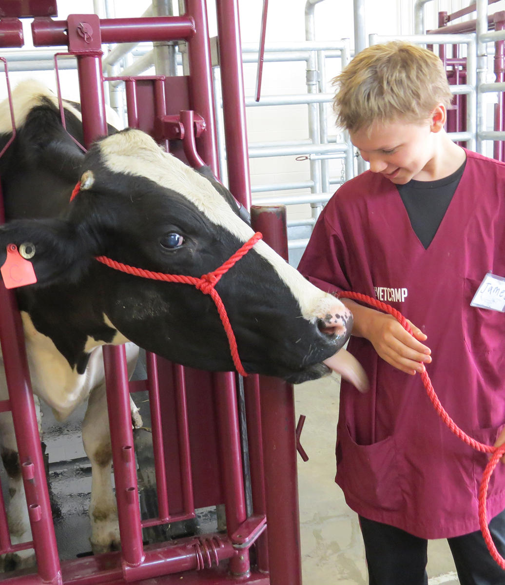 Vet Camp at University of Calgary Vet Camp at University of Calgary