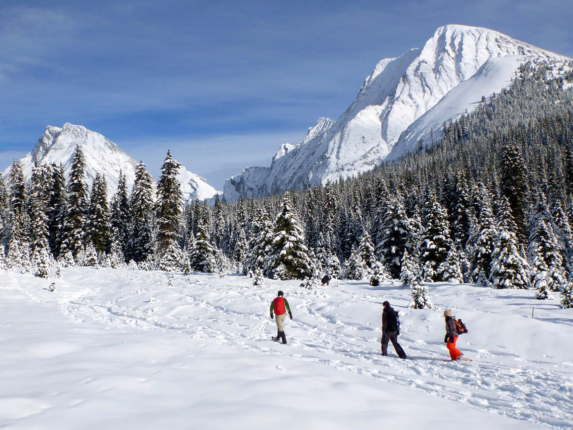 Snowshoeing with the UCalgary Outdoor Centre