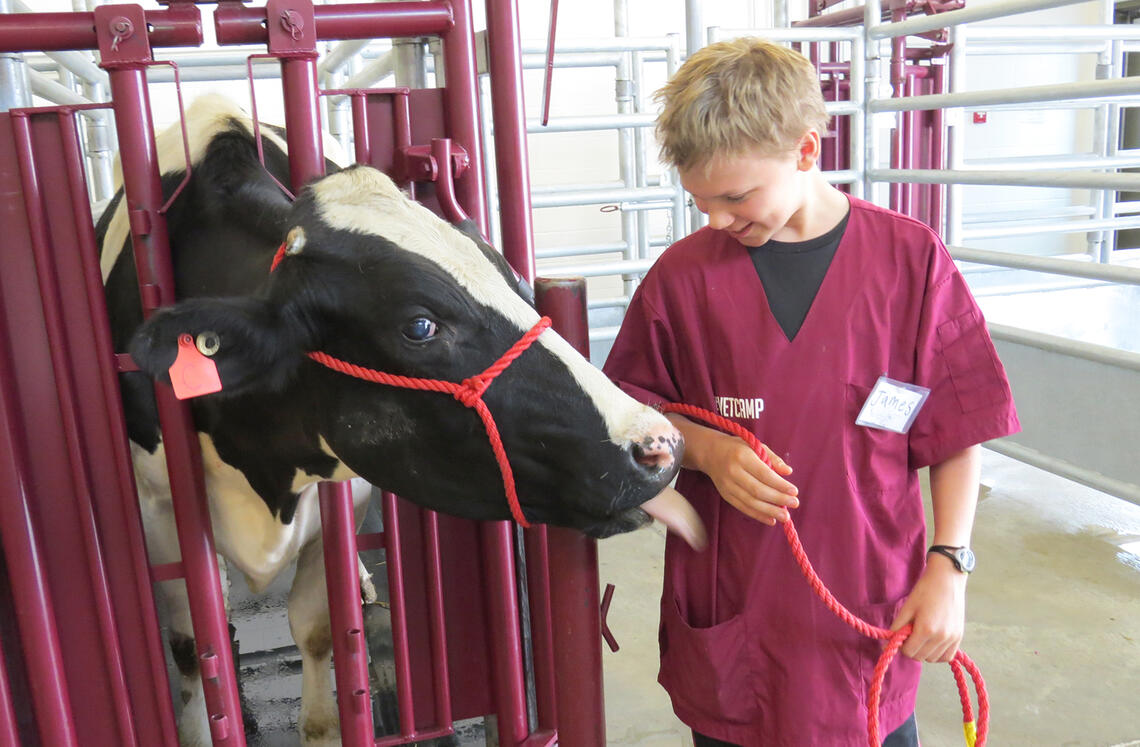 Vet Med camp at UCalgary