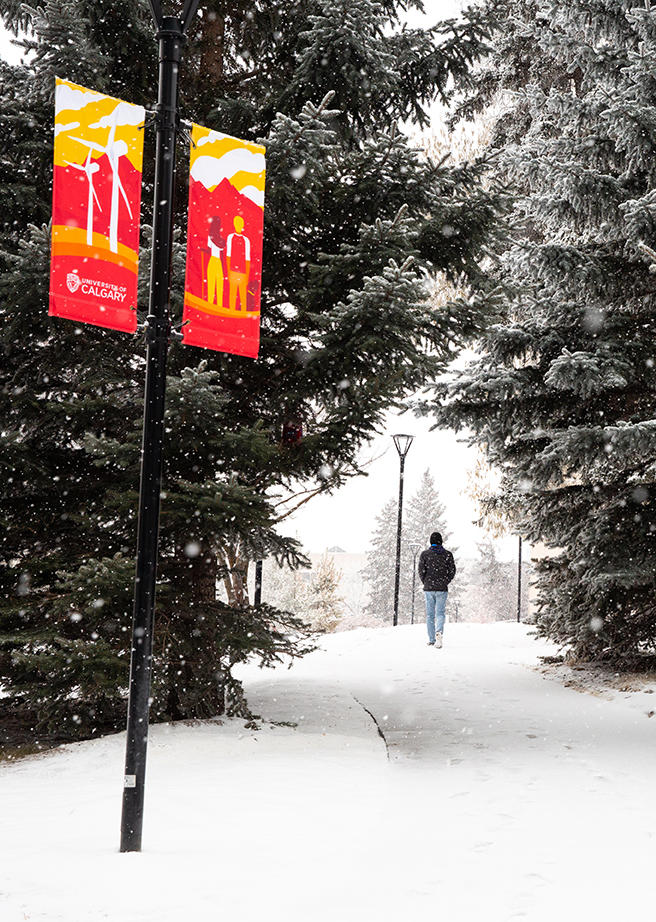 UCalgary campus winter