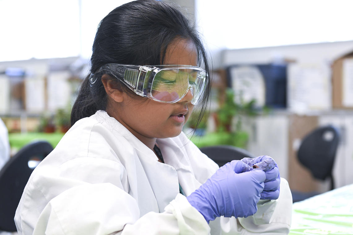 University of Calgary Summer Camps