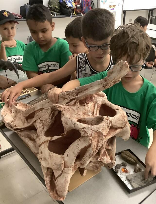 paleontology