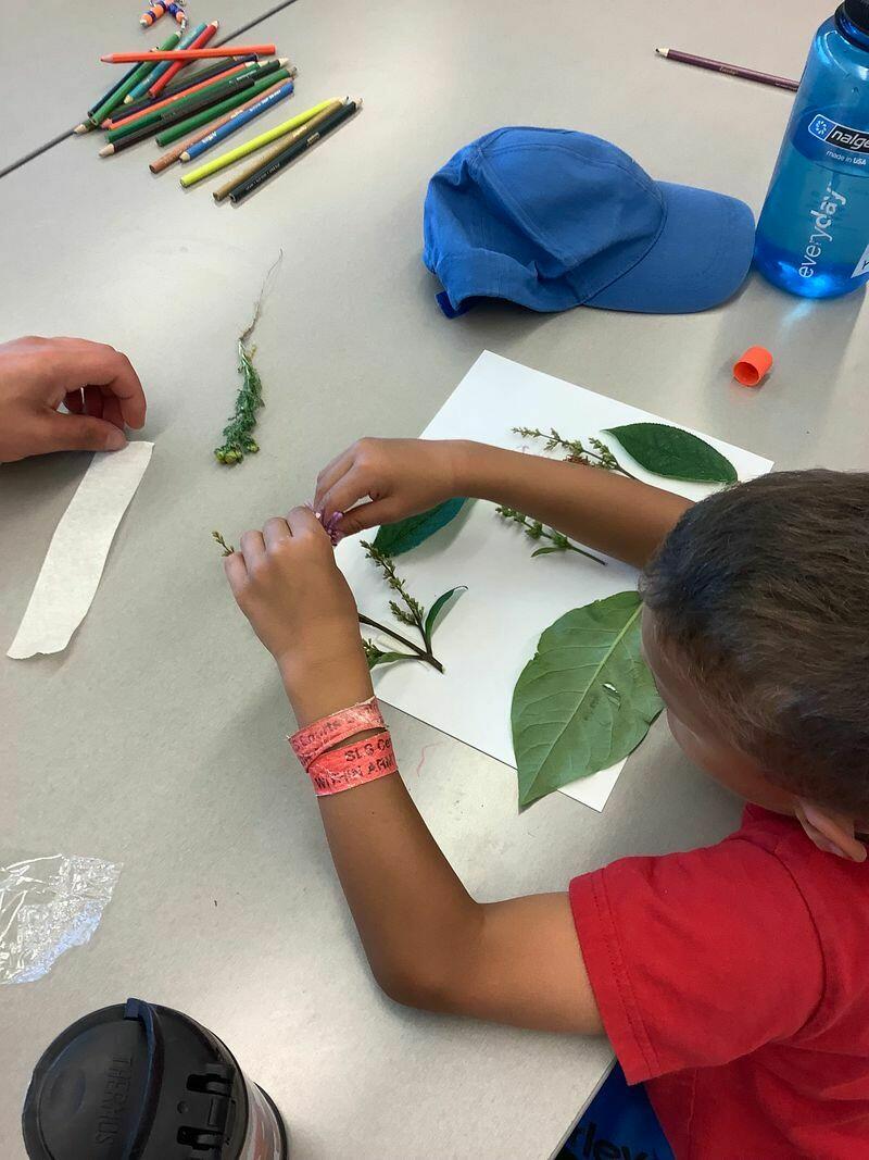 Pressed Plant Pictures activity with UCalgary Minds in Motion