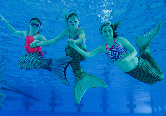 UCalgary Mermaid University