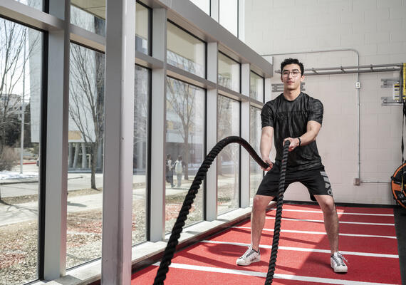 gold fitness